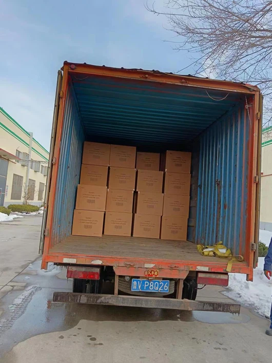 20231204112558 20231204112558